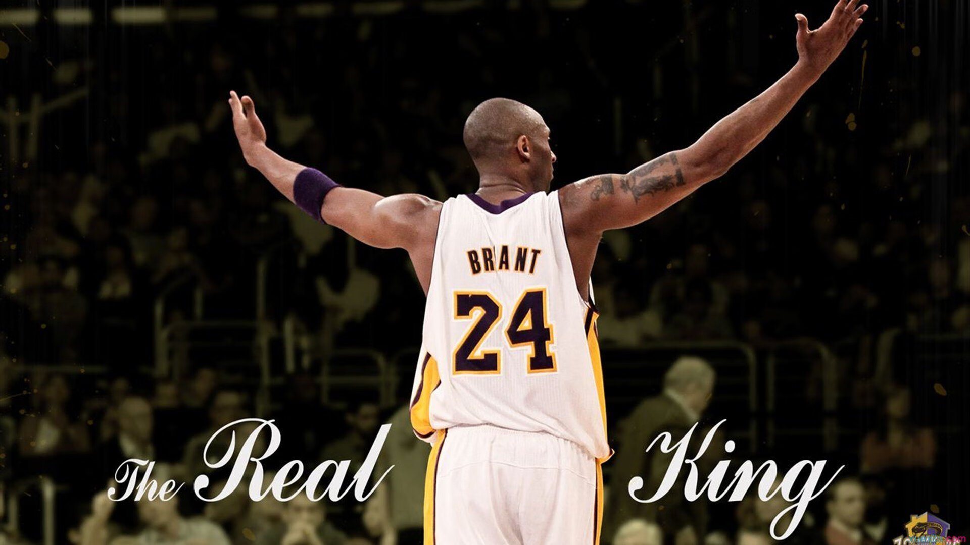 布莱顿控球率领先维持场面优势，布莱顿球队外号